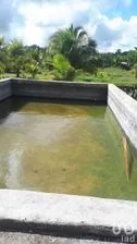 NEX-280934 - Terreno en Venta en Ayim, CP 97965, Yucatán.
