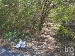 NEX-280941 - Terreno en Venta en Kinchil, CP 97360, Yucatán.