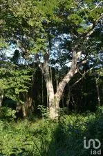 NEX-280949 - Terreno en Venta en Oxkutzcab, CP 97880, Yucatán.