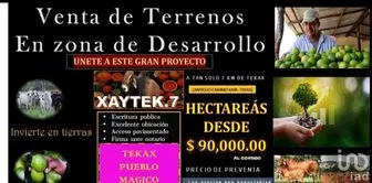 NEX-280986 - Terreno en Venta en Tekax de Álvaro Obregón, CP 97970, Yucatán.