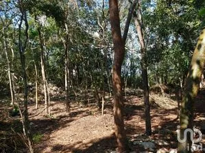 NEX-281001 - Terreno en Venta en San Juan Tekax, CP 97987, Yucatán.
