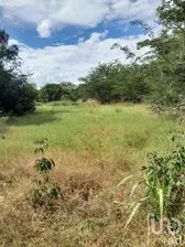 NEX-281003 - Terreno en Venta en Tzucacab Centro, CP 97960, Yucatán.