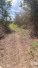 NEX-281005 - Terreno en Venta en Tzucacab Centro, CP 97960, Yucatán.