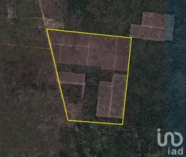 NEX-281081 - Terreno en Renta en Dzemul, CP 97404, Yucatán.