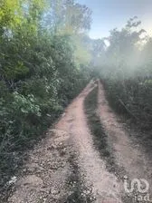 NEX-281123 - Terreno en Venta en Tixcacalcupul, CP 97762, Yucatán.