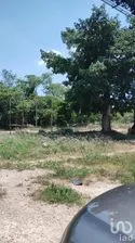 NEX-288636 - Terreno en Renta en Francisco de Montejo II, CP 97203, Yucatán.