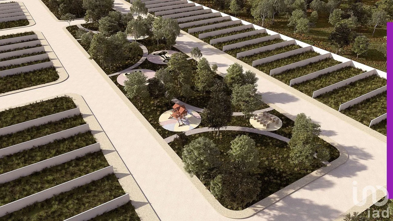 Terreno en Venta en Dzidzantún, Dzidzantún, Yucatán | NEX-153740 | iad México | Foto 4 de 4