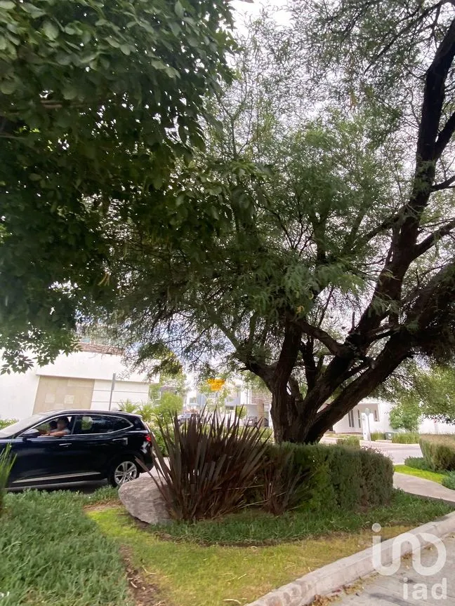 Casa en Venta en Cavalia, Aguascalientes, Aguascalientes | NEX-160197 | iad México | Foto 19 de 29