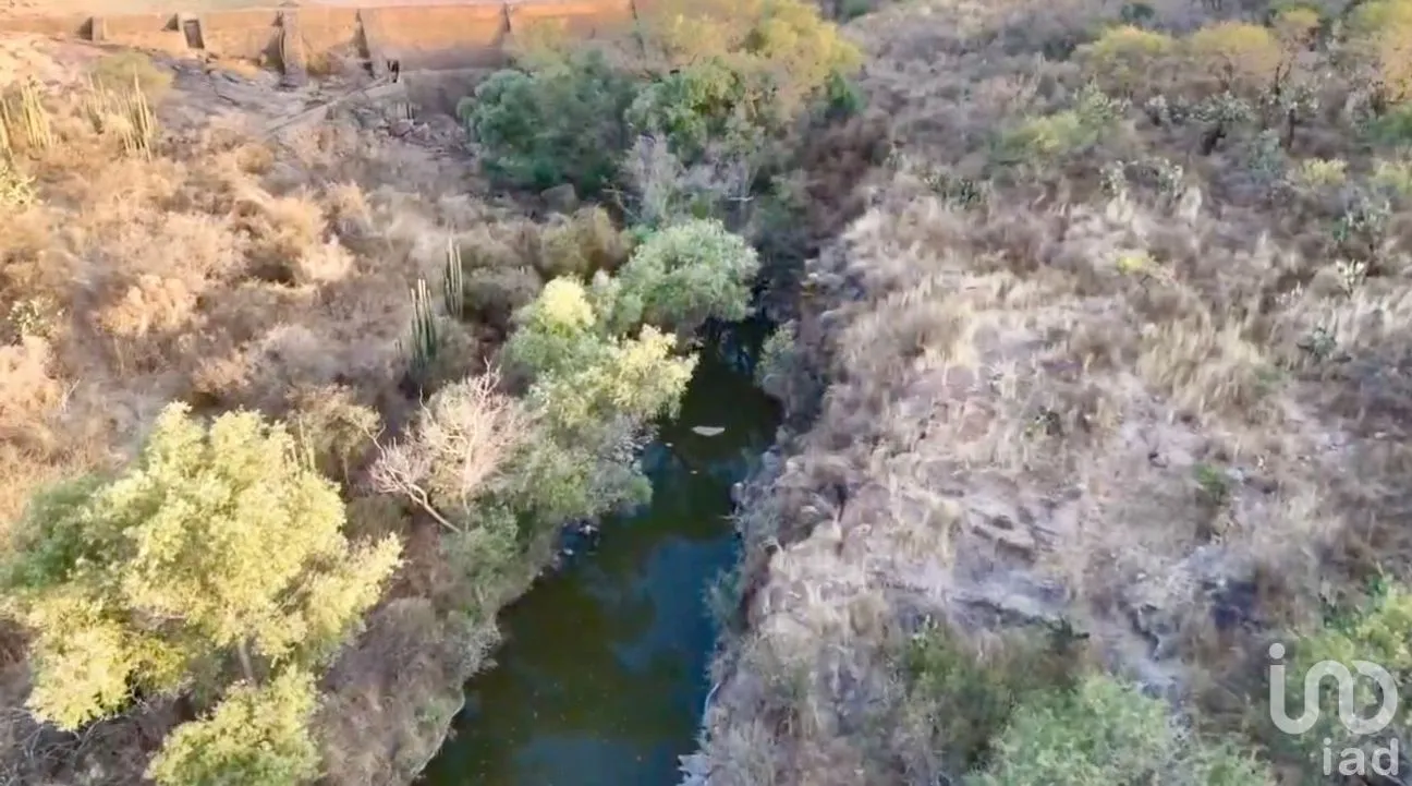 Rancho en Venta en El Ocote, Aguascalientes, Aguascalientes | NEX-248909 | iad México | Foto 4 de 8