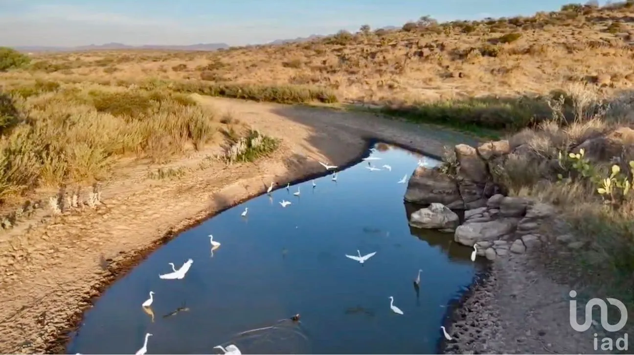 Rancho en Venta en El Ocote, Aguascalientes, Aguascalientes | NEX-248909 | iad México | Foto 1 de 8