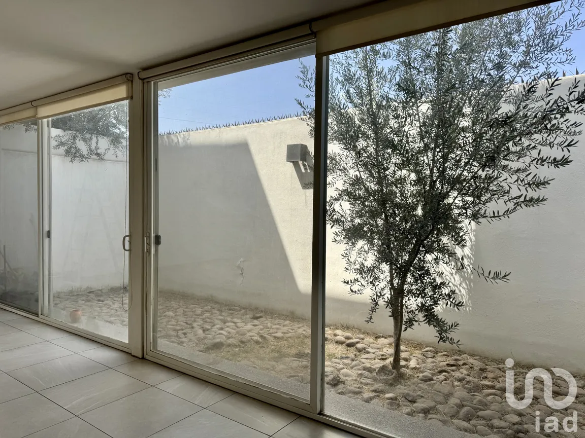 Casa en Renta en El Llano, Jesús María, Aguascalientes | NEX-292060 | iad México | Foto 3 de 24