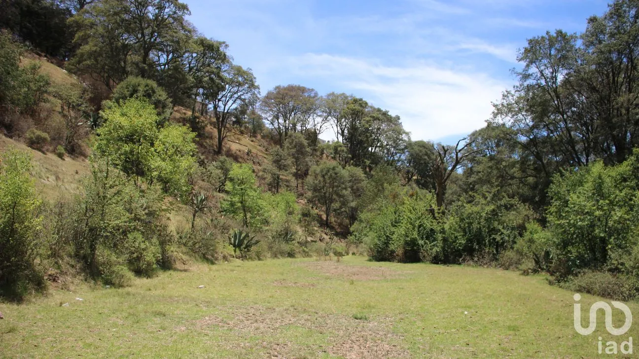 Terreno en Venta en Santa María del Monte, Zinacantepec, México | NEX-214778 | iad México | Foto 12 de 12