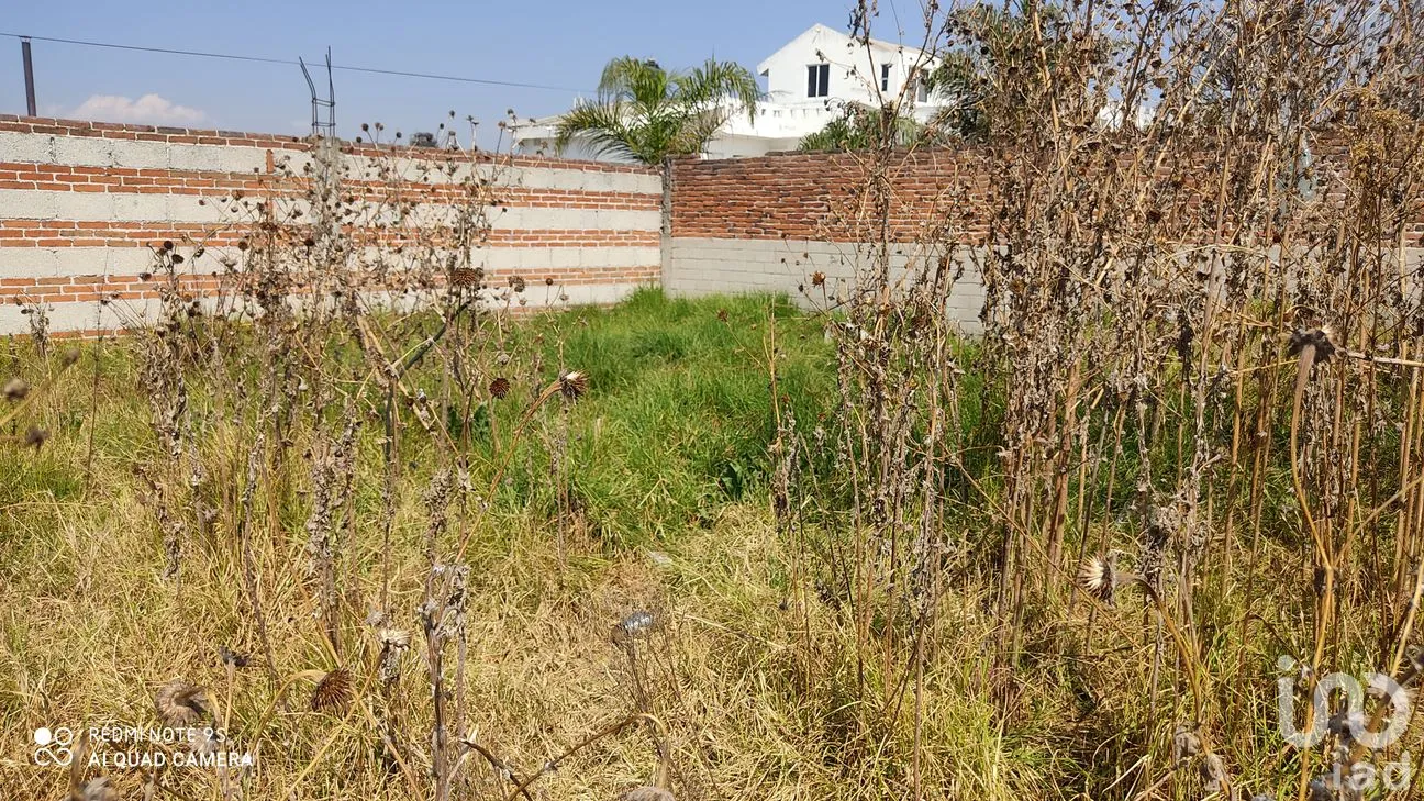 Terreno en Venta en San Lorenzo Almecatla, Cuautlancingo, Puebla | NEX-240144 | iad México | Foto 9 de 11
