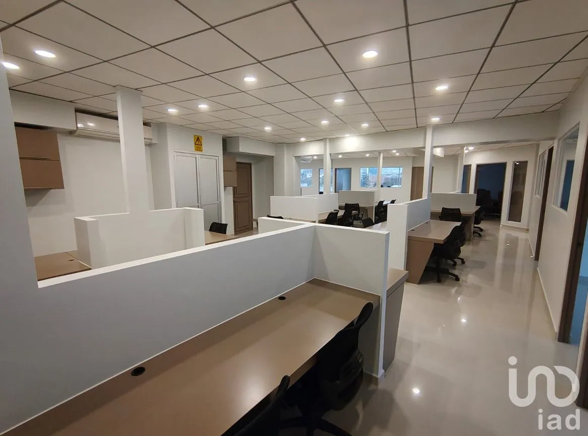 Oficina en Renta en Polanco II Sección, Miguel Hidalgo, Ciudad de México | NEX-217592 | iad México | Foto 4 de 41