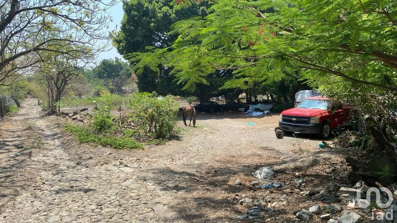 Terreno en Venta en Lomas de Jiutepec, Jiutepec, Morelos | NEX-233823 | iad México | Foto 3 de 5