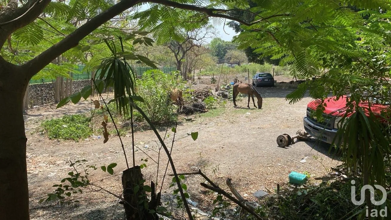 Terreno en Venta en Lomas de Jiutepec, Jiutepec, Morelos | NEX-233823 | iad México | Foto 4 de 5