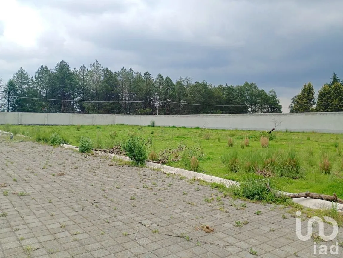 Terreno en Venta en Cacalomacán Centro, Toluca, México | NEX-253435 | iad México | Foto 5 de 13