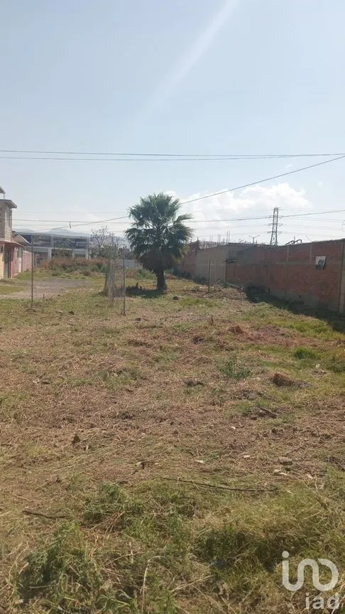 Terreno en Venta en La Conchita, Chalco, México | NEX-243727 | iad México | Foto 2 de 8