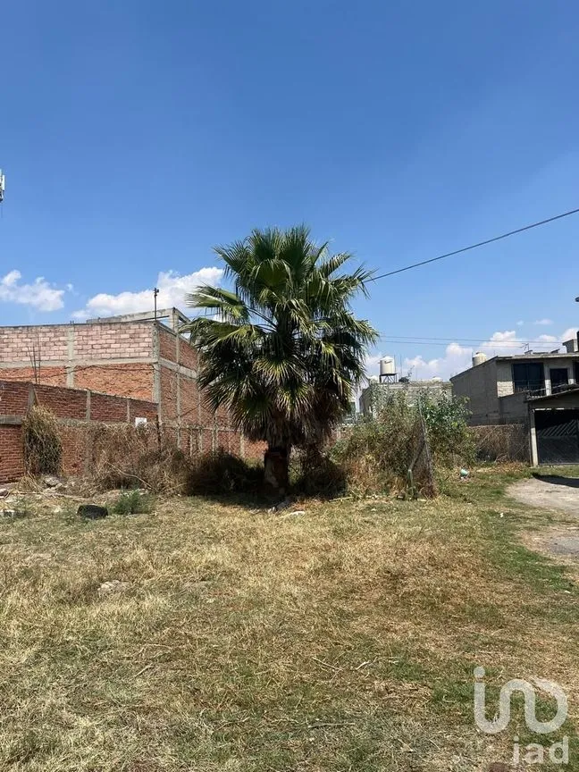 Terreno en Venta en La Conchita, Chalco, México | NEX-243727 | iad México | Foto 3 de 8