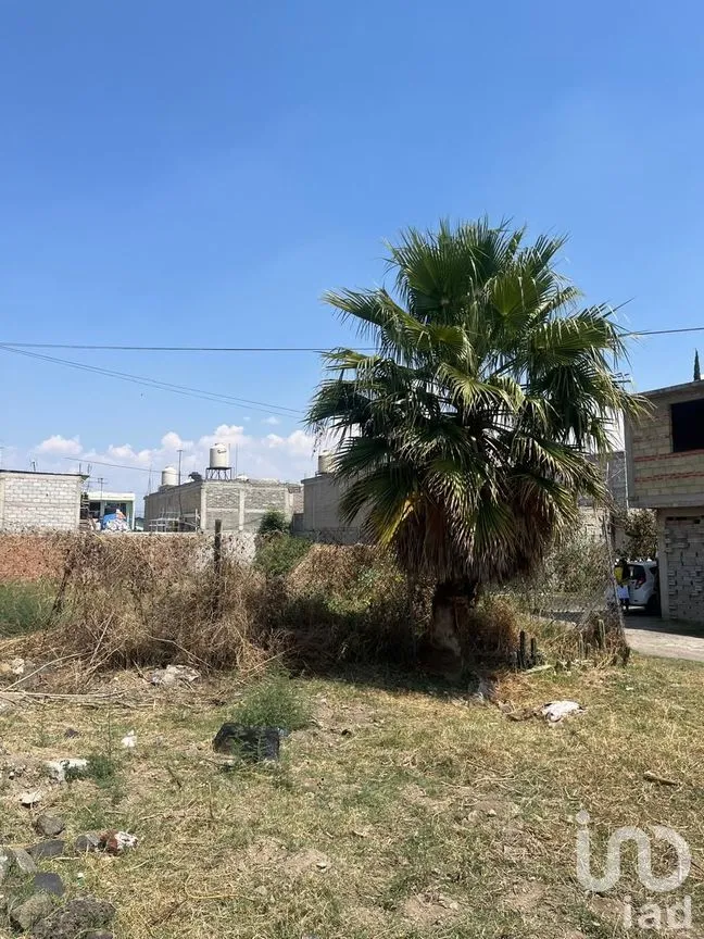 Terreno en Venta en La Conchita, Chalco, México | NEX-243727 | iad México | Foto 4 de 8
