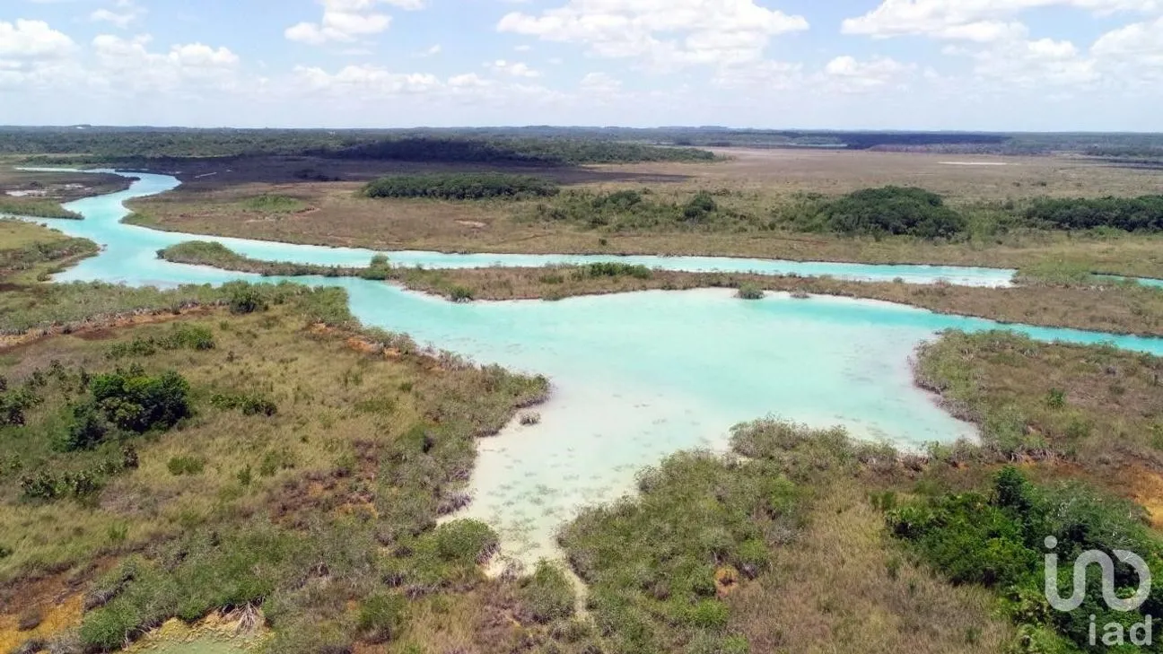 Terreno en Venta en Mario Villanueva, Bacalar, Quintana Roo | NEX-213611 | iad México | Foto 5 de 5
