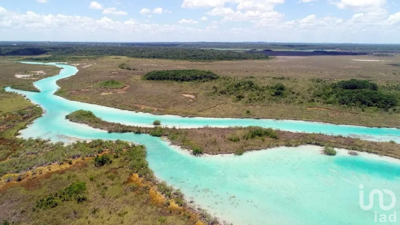 Terreno en Venta en El Cedral, Bacalar, Quintana Roo | NEX-213643 | iad México | Foto 3 de 4