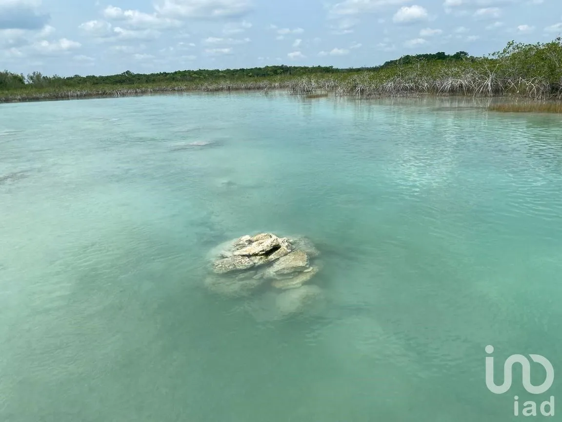 Terreno en Venta en El Cedral, Bacalar, Quintana Roo | NEX-213643 | iad México | Foto 4 de 4