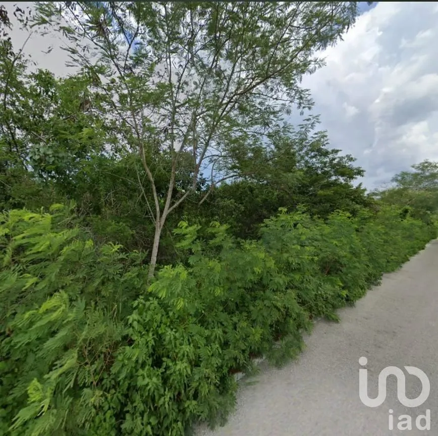 Terreno en Venta en Dzidzantún, Dzidzantún, Yucatán | NEX-196251 | iad México | Foto 6 de 7