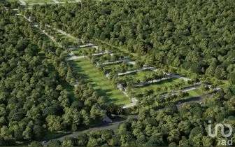 NEX-198252 - Terreno en Venta, con 350 m2 de construcción en Dzidzantún, CP 97500, Yucatán.