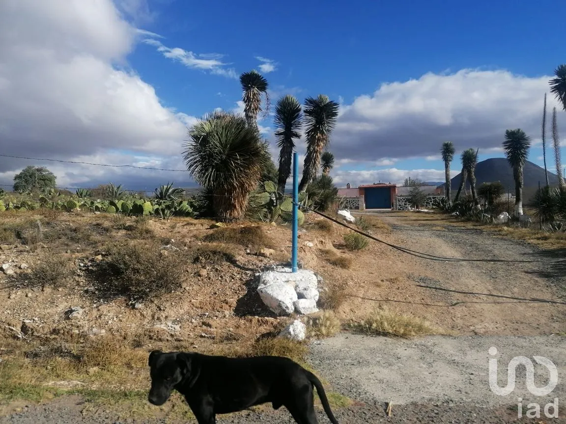 Terreno en Venta en San Juan Tizahuapan, Epazoyucan, Hidalgo | NEX-161034 | iad México | Foto 11 de 14