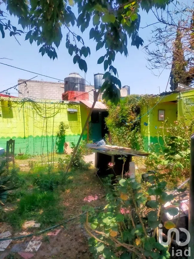 Terreno en Venta en La Concepción, Chiautla, México | NEX-203112 | iad México | Foto 3 de 8