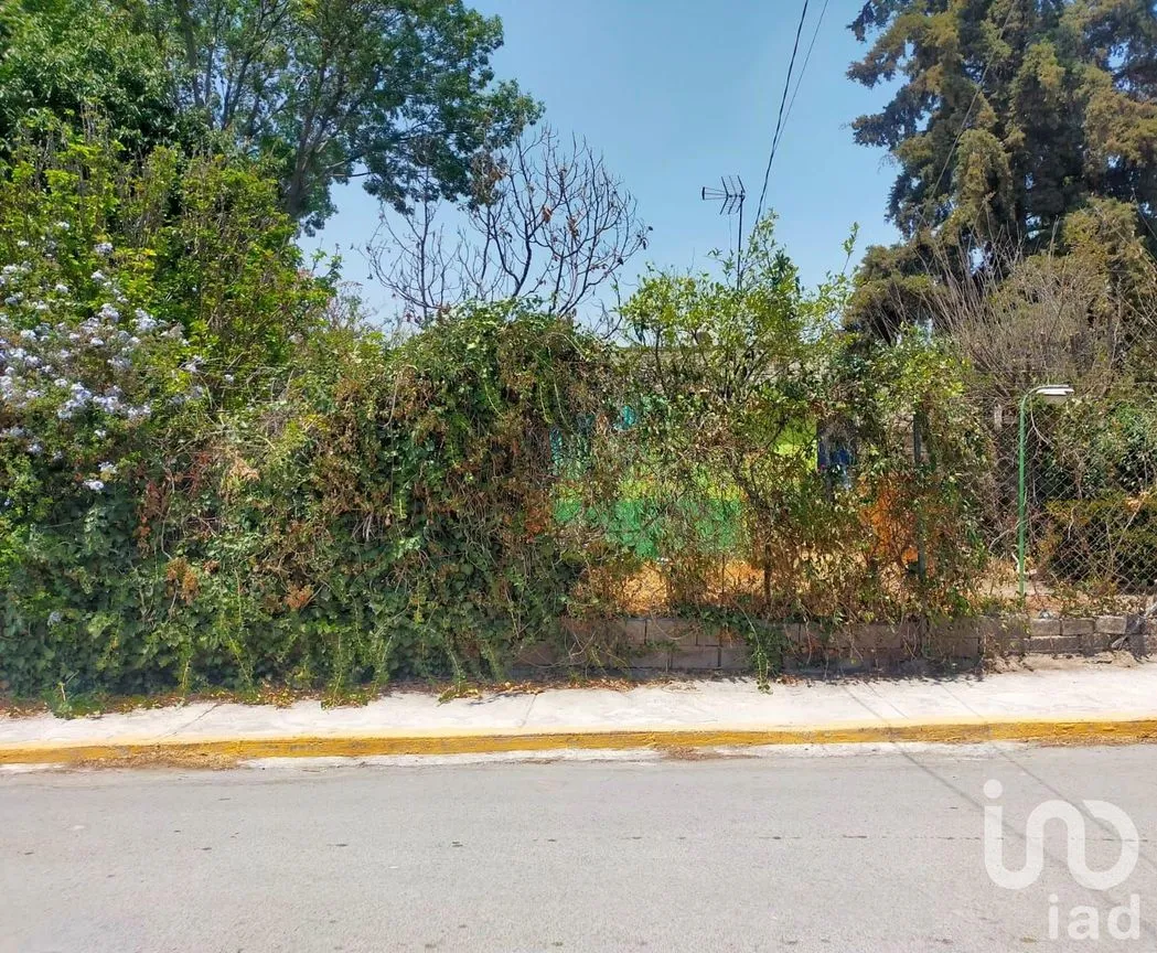 Terreno en Venta en La Concepción, Chiautla, México | NEX-203112 | iad México | Foto 6 de 8
