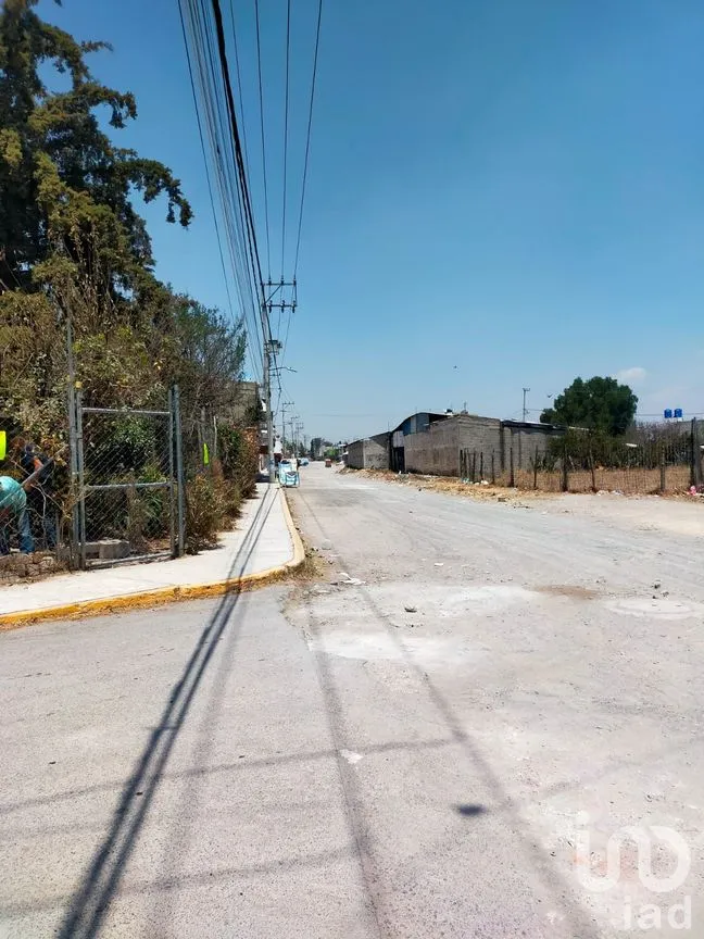 Terreno en Venta en La Concepción, Chiautla, México | NEX-203112 | iad México | Foto 8 de 8