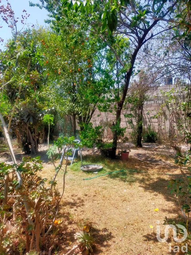 Terreno en Venta en La Concepción, Chiautla, México | NEX-203112 | iad México | Foto 1 de 8