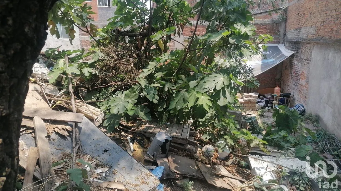 Terreno en Venta en Anáhuac I Sección, Miguel Hidalgo, Ciudad de México | NEX-246695 | iad México | Foto 4 de 6