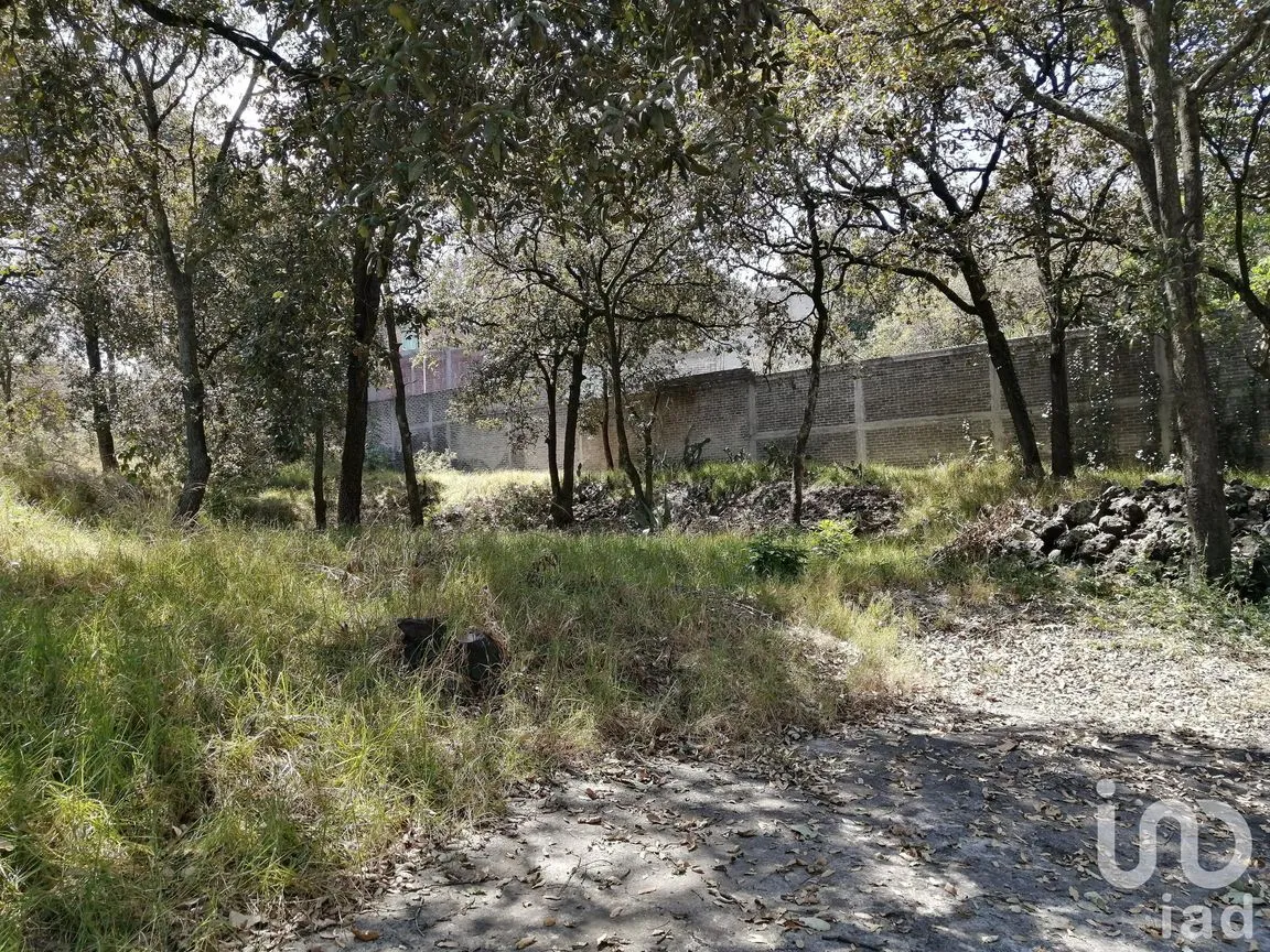 Terreno en Venta en Miguel Hidalgo 4A Sección, Tlalpan, Ciudad de México | NEX-252537 | iad México | Foto 7 de 11
