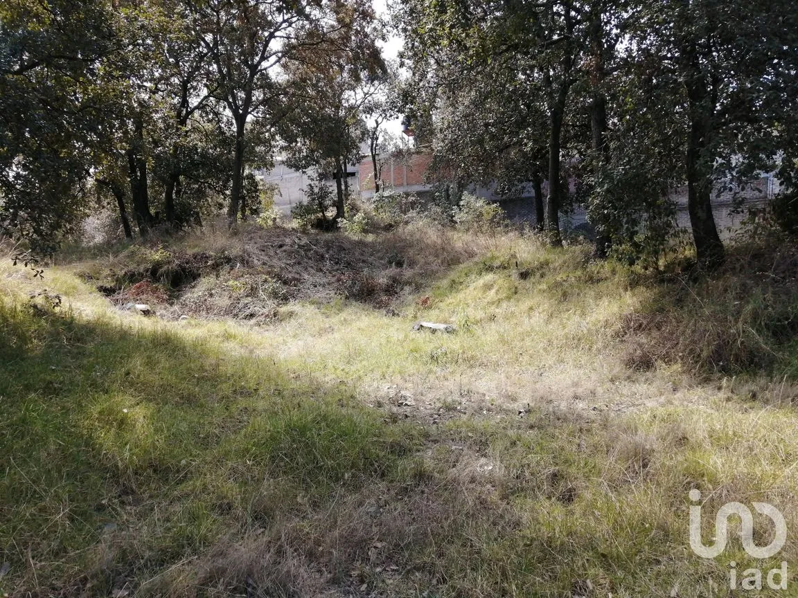 Terreno en Venta en Miguel Hidalgo 4A Sección, Tlalpan, Ciudad de México | NEX-252537 | iad México | Foto 8 de 11
