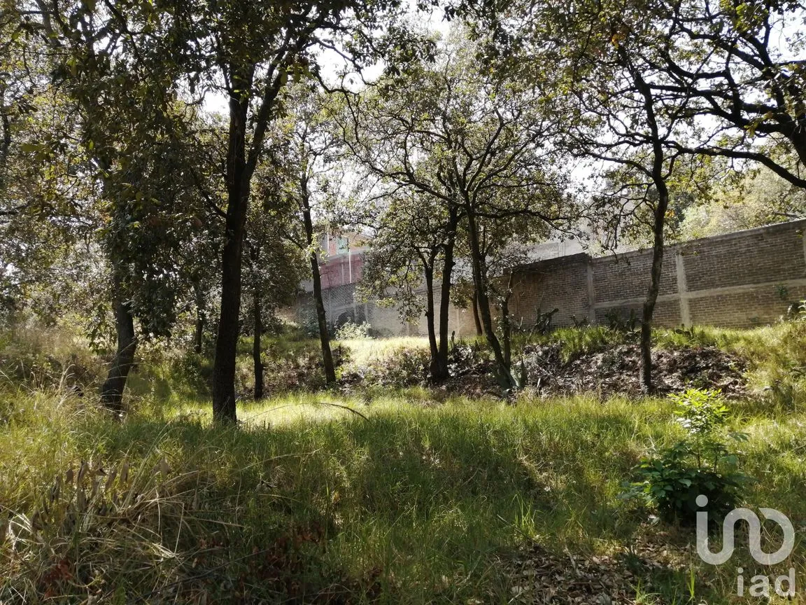 Terreno en Venta en Miguel Hidalgo 4A Sección, Tlalpan, Ciudad de México | NEX-252537 | iad México | Foto 9 de 11