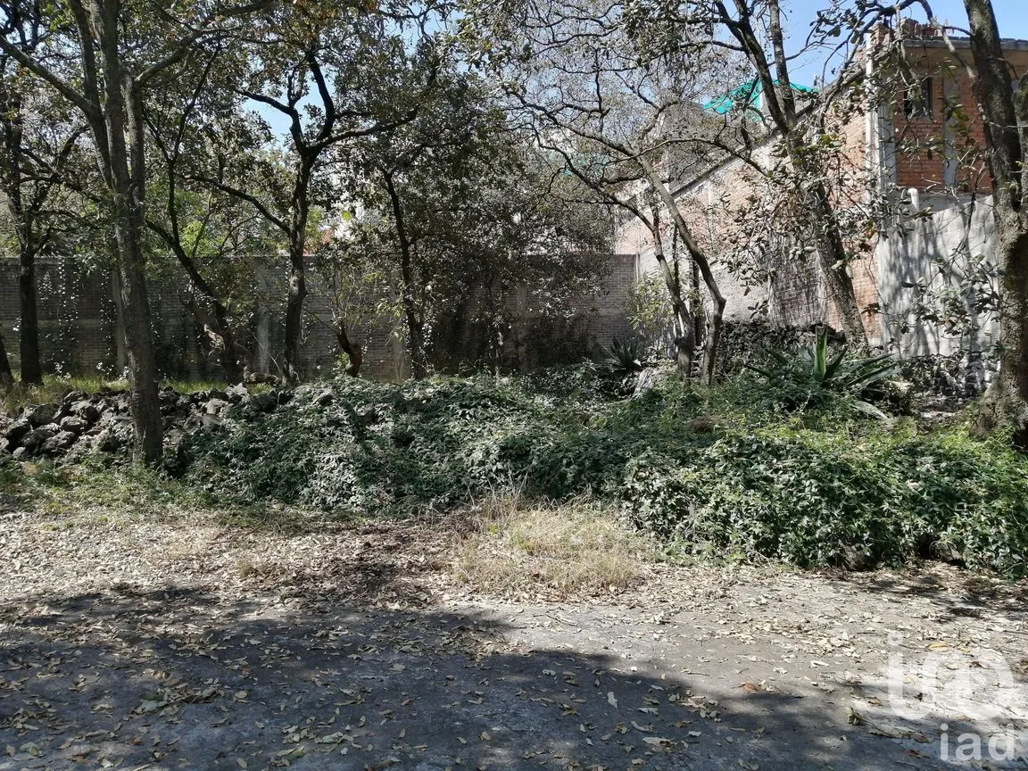 Terreno en Venta en Miguel Hidalgo 4A Sección, Tlalpan, Ciudad de México | NEX-252537 | iad México | Foto 10 de 11