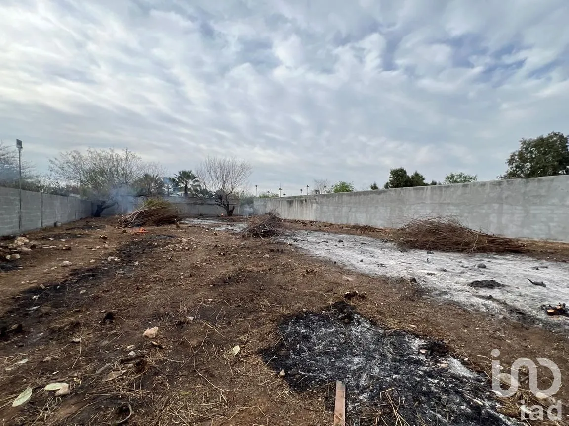 Terreno en Renta en Almaguer, Reynosa, Tamaulipas | NEX-289644 | iad México | Foto 11 de 13