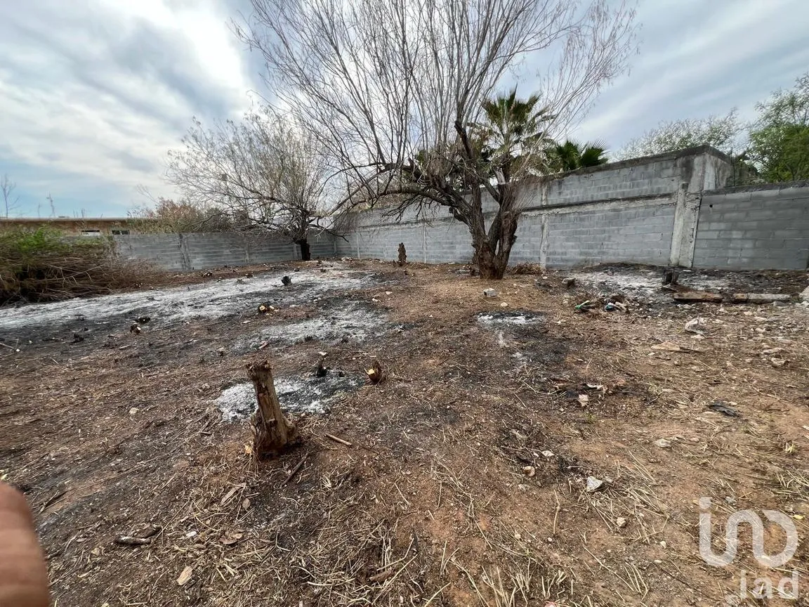 Terreno en Renta en Almaguer, Reynosa, Tamaulipas | NEX-289644 | iad México | Foto 3 de 13