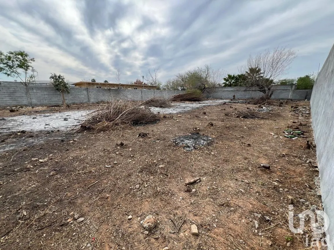Terreno en Renta en Almaguer, Reynosa, Tamaulipas | NEX-289644 | iad México | Foto 4 de 13