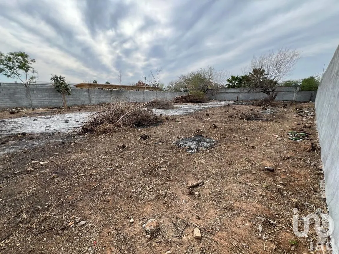 Terreno en Renta en Almaguer, Reynosa, Tamaulipas | NEX-289644 | iad México | Foto 7 de 13
