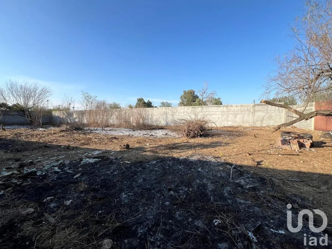 Terreno en Renta en Almaguer, Reynosa, Tamaulipas | NEX-289644 | iad México | Foto 8 de 13