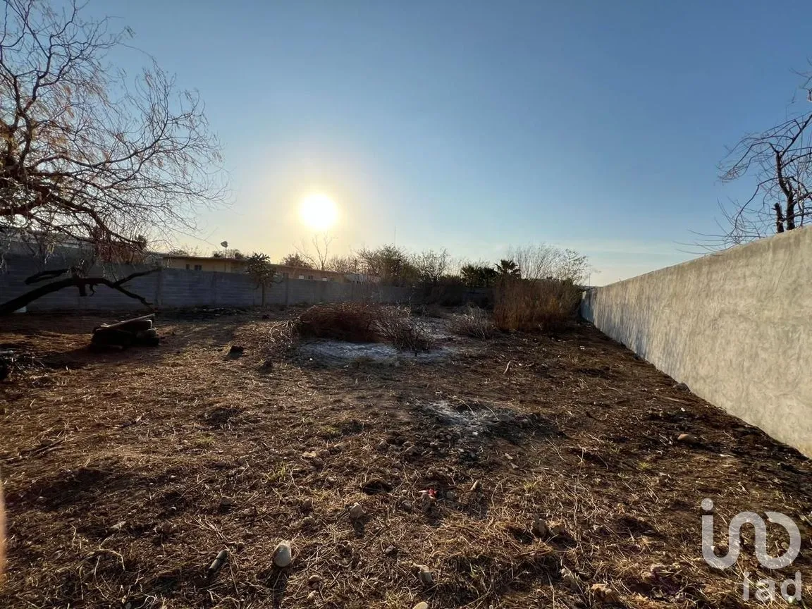 Terreno en Renta en Almaguer, Reynosa, Tamaulipas | NEX-289644 | iad México | Foto 9 de 13