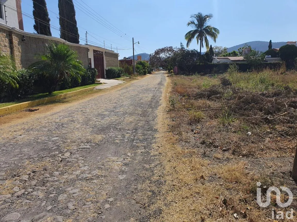 Terreno en Venta en Paraíso Tlahuica, Ayala, Morelos | NEX-260116 | iad México | Foto 5 de 14