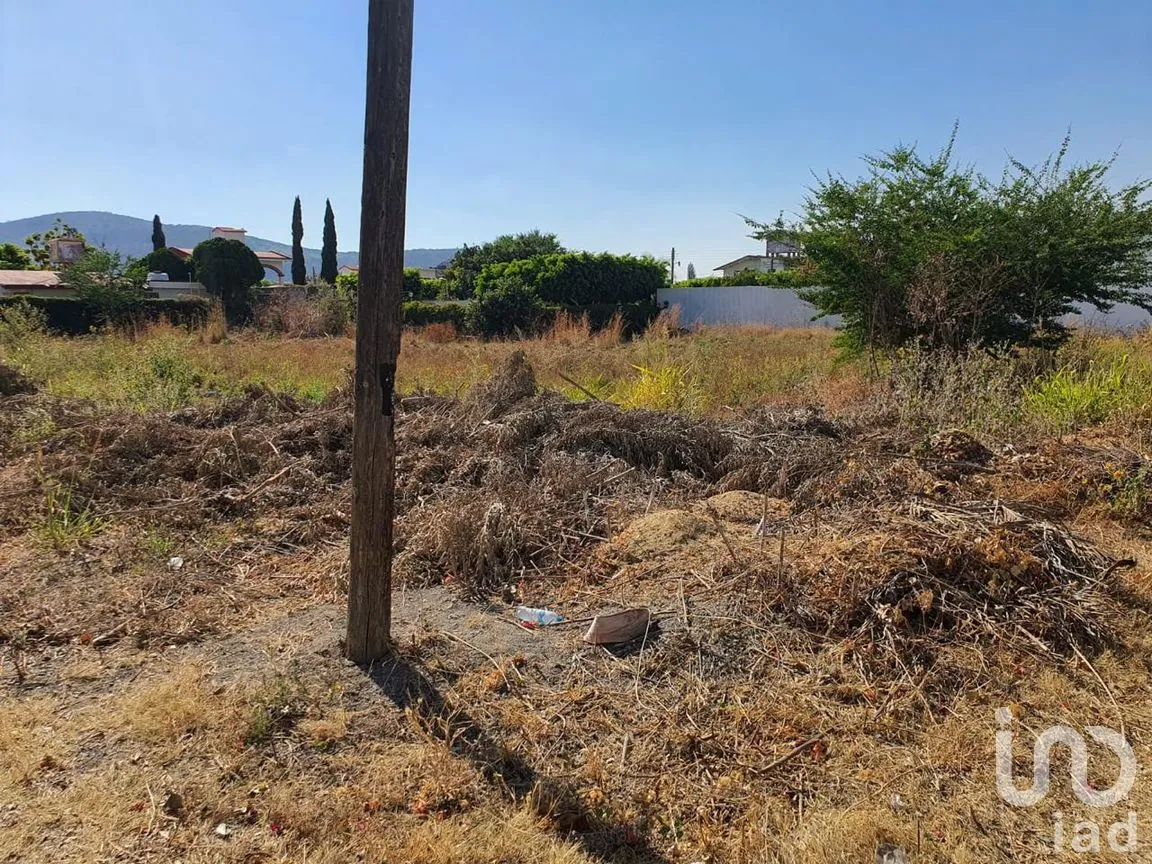 Terreno en Venta en Paraíso Tlahuica, Ayala, Morelos | NEX-260116 | iad México | Foto 7 de 14