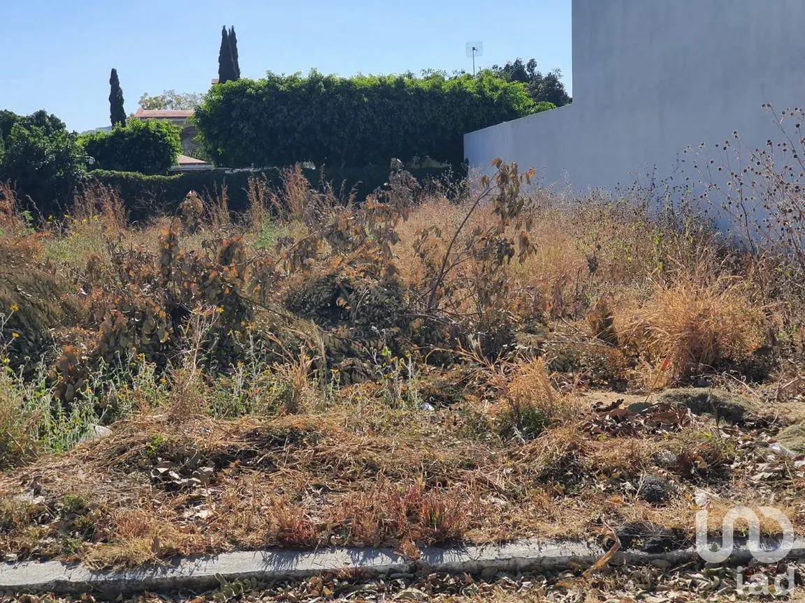 Terreno en Venta en Paraíso Tlahuica, Ayala, Morelos | NEX-260116 | iad México | Foto 8 de 14