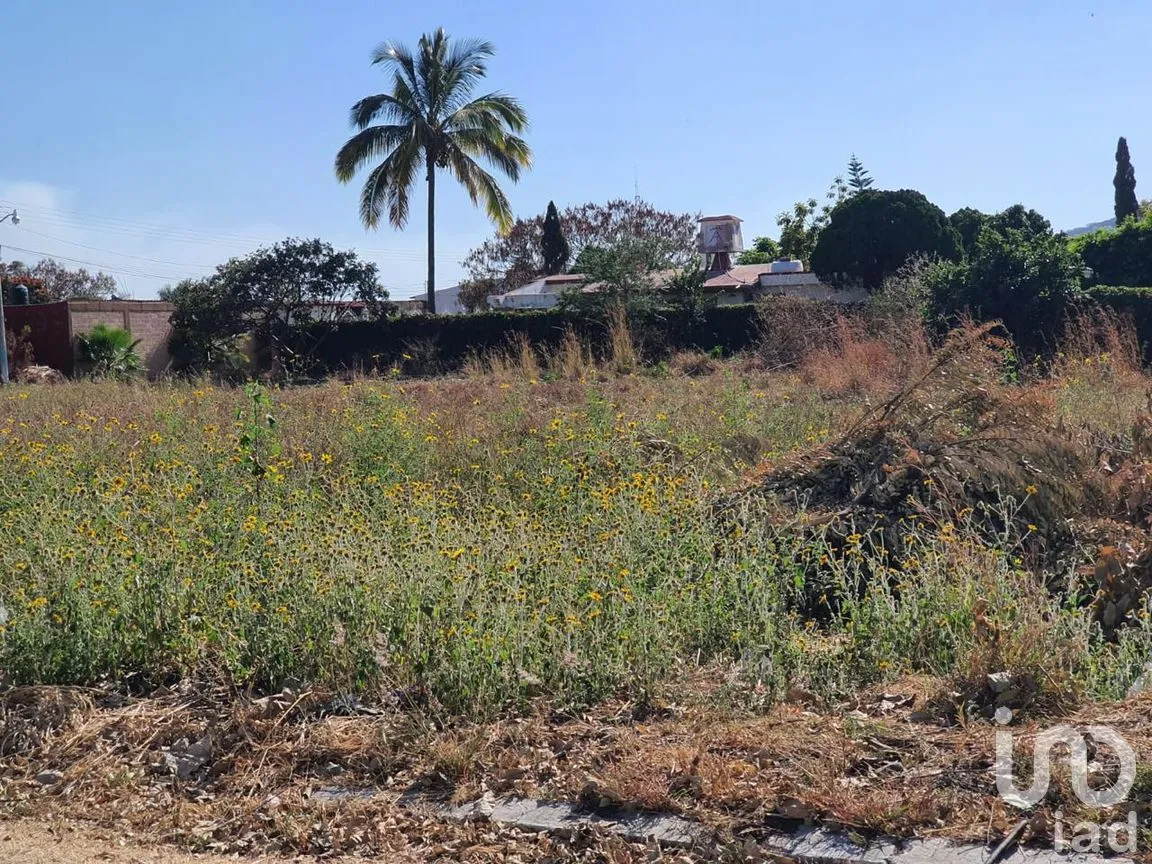 Terreno en Venta en Paraíso Tlahuica, Ayala, Morelos | NEX-260116 | iad México | Foto 9 de 14