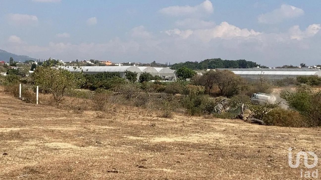 Terreno en Venta en San Sebastián, Atlatlahucan, Morelos | NEX-250431 | iad México | Foto 3 de 4